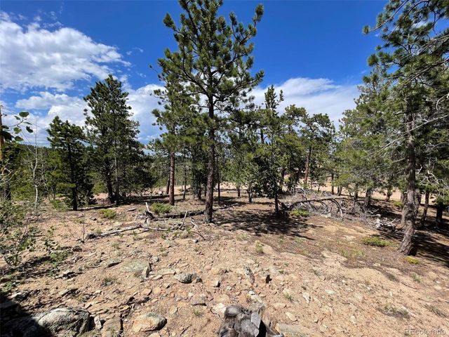 595 Divide View Dr, Golden, CO 80403