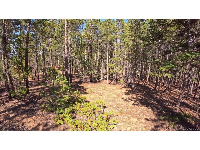 595 Divide View Dr, Golden, CO 80403