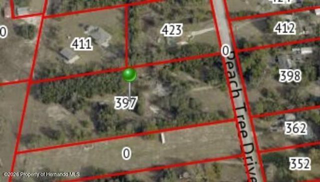 397 Peach Tree Drive, Spring Hill, FL 34609