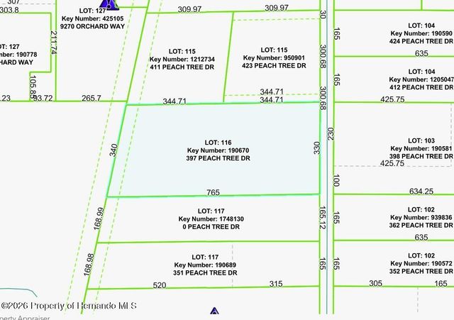 397 Peach Tree Drive, Spring Hill, FL 34609