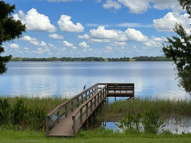 900 N CITRUS AVENUE, Howey In The Hills, FL 34737