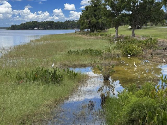 900 N CITRUS AVENUE, Howey In The Hills, FL 34737