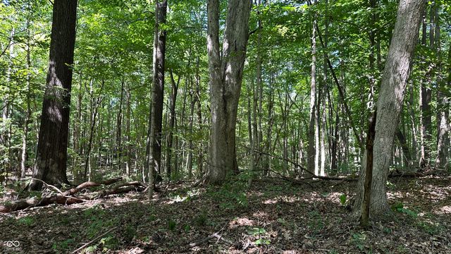 6 Fiscus Cemetery Road, Coal City, IN 47427