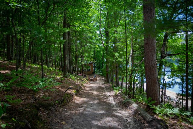 7103 Lake View Ridge, Lake Ann, MI 49650