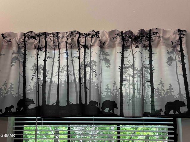 653 Oaks View Court, Pigeon Forge, TN 37863