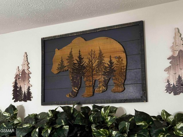 653 Oaks View Court, Pigeon Forge, TN 37863