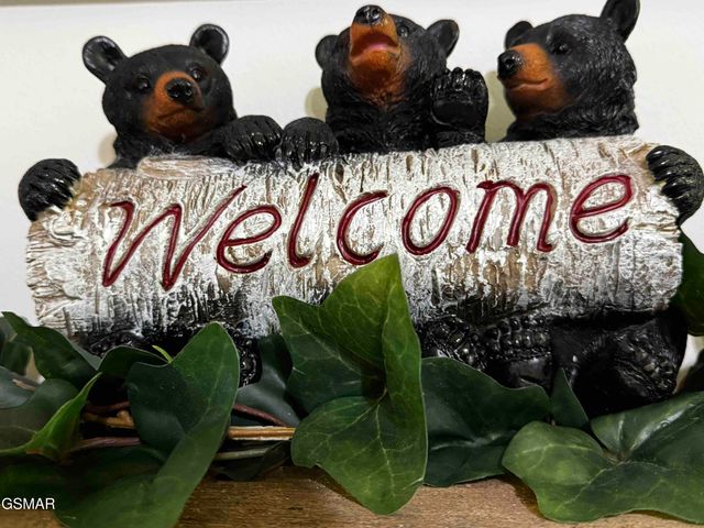 653 Oaks View Court, Pigeon Forge, TN 37863