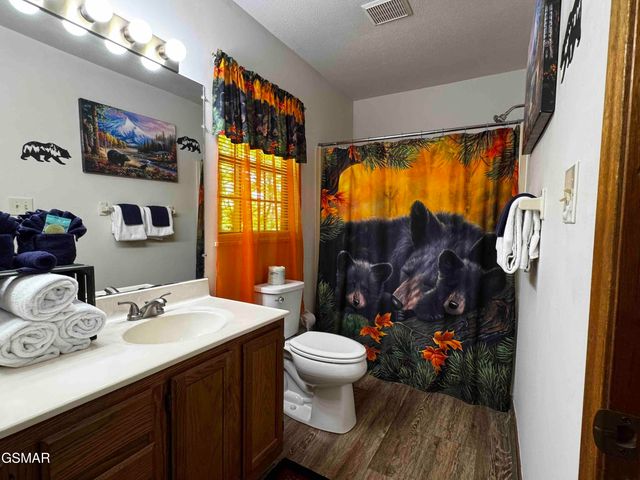 653 Oaks View Court, Pigeon Forge, TN 37863