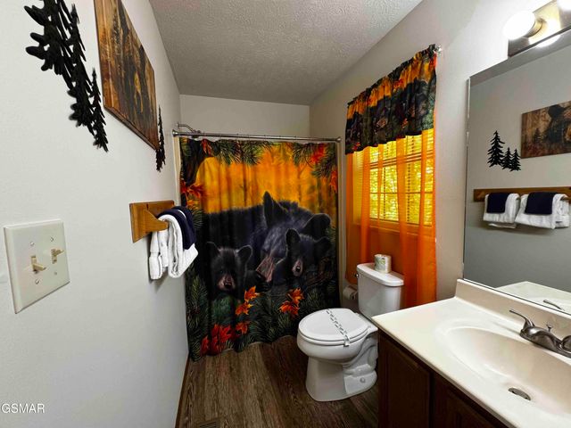 653 Oaks View Court, Pigeon Forge, TN 37863