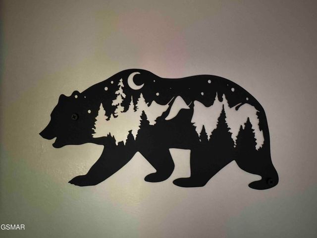 653 Oaks View Court, Pigeon Forge, TN 37863