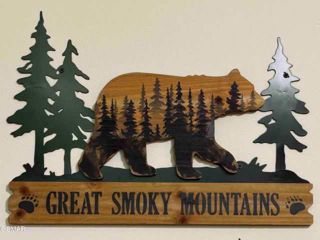 653 Oaks View Court, Pigeon Forge, TN 37863