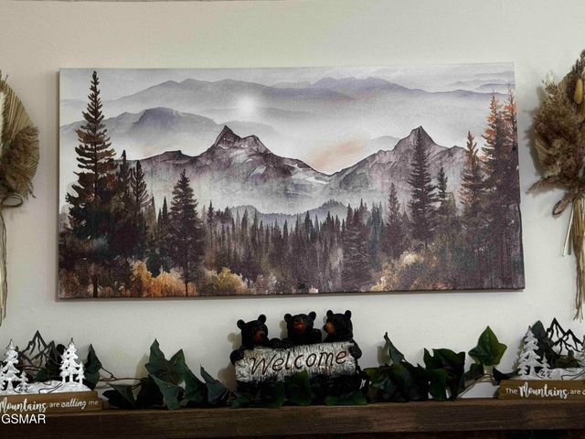 653 Oaks View Court, Pigeon Forge, TN 37863