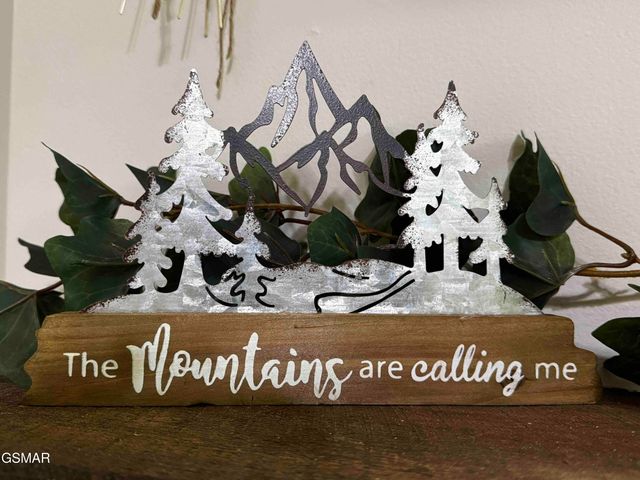 653 Oaks View Court, Pigeon Forge, TN 37863