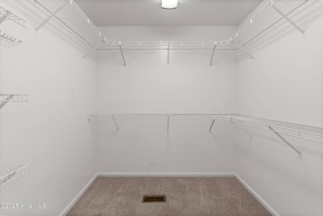 842 Mill Creek Road, Newport, NC 28570