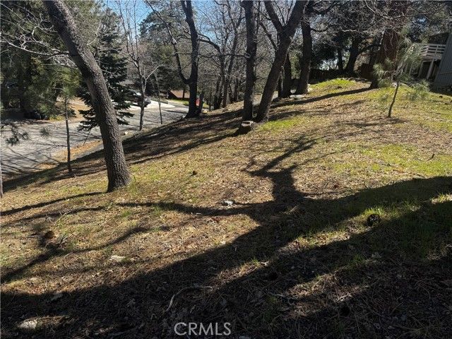 0 Oriole Road, Wrightwood, CA 92397