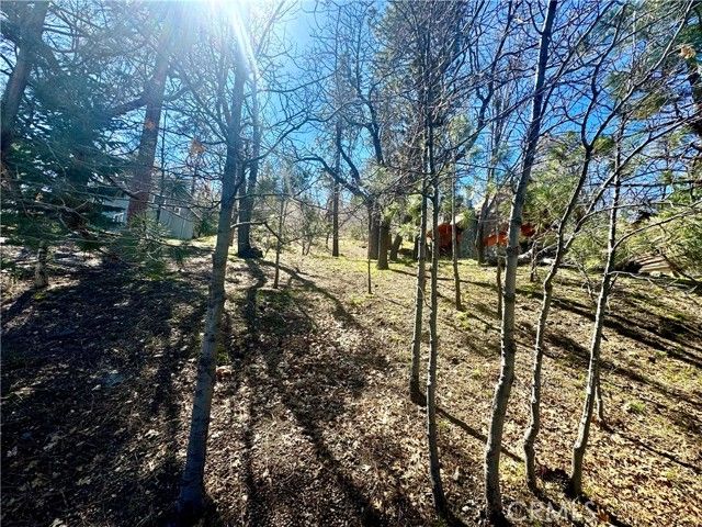 0 Oriole Road, Wrightwood, CA 92397