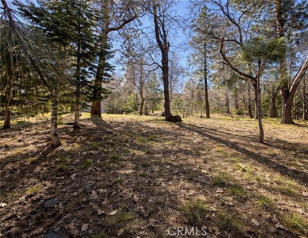 0 Oriole Road, Wrightwood, CA 92397