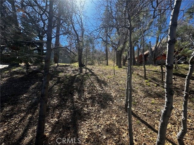 0 Oriole Road, Wrightwood, CA 92397