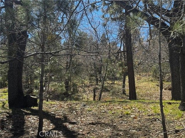 0 Oriole Road, Wrightwood, CA 92397