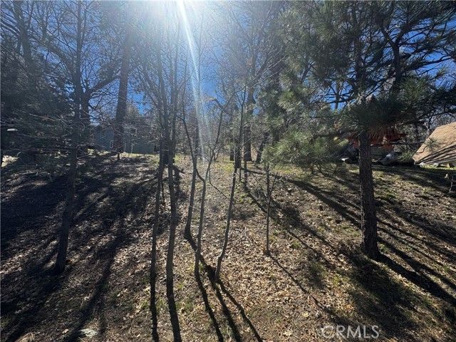 0 Oriole Road, Wrightwood, CA 92397