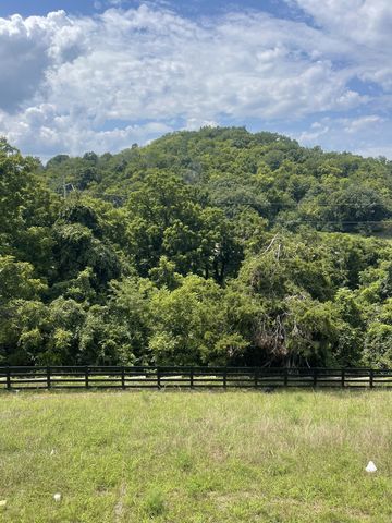 213 Berry Hunter Lane, Franklin, TN 37067