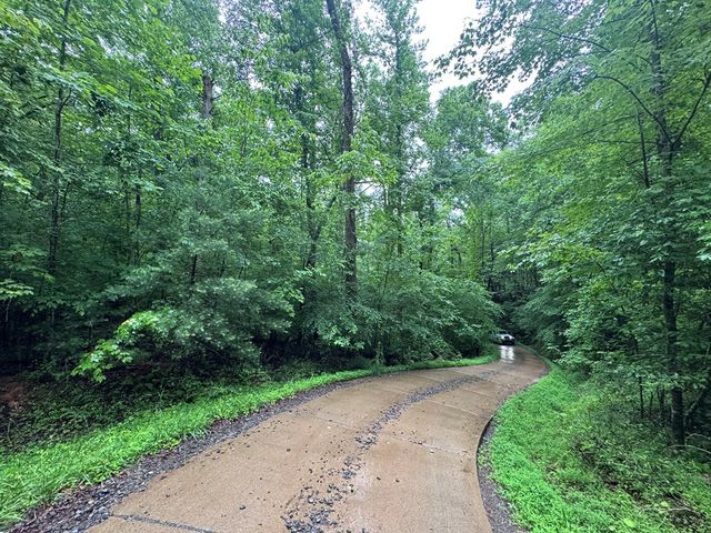 1.23 AC Bear Run Circle, Ellijay, GA 30540