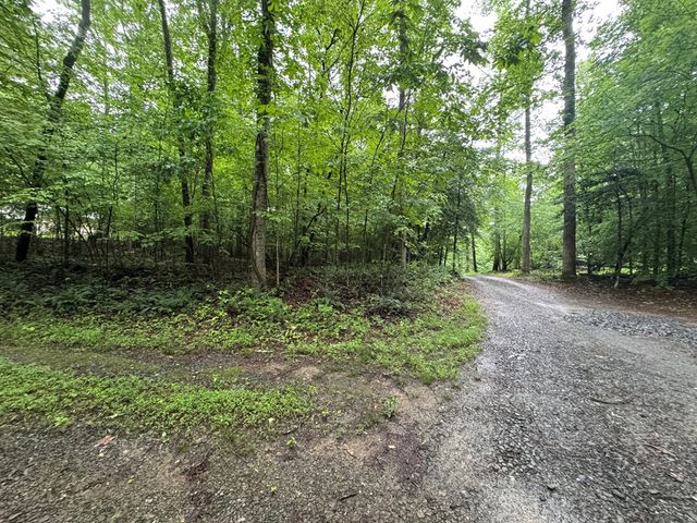 1.23 AC Bear Run Circle, Ellijay, GA 30540