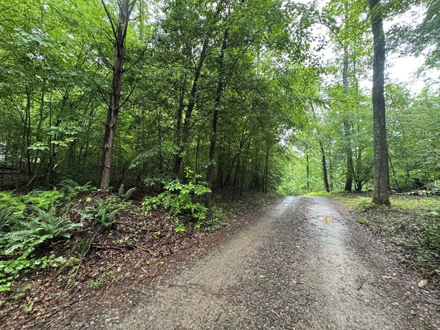 1.23 AC Bear Run Circle, Ellijay, GA 30540