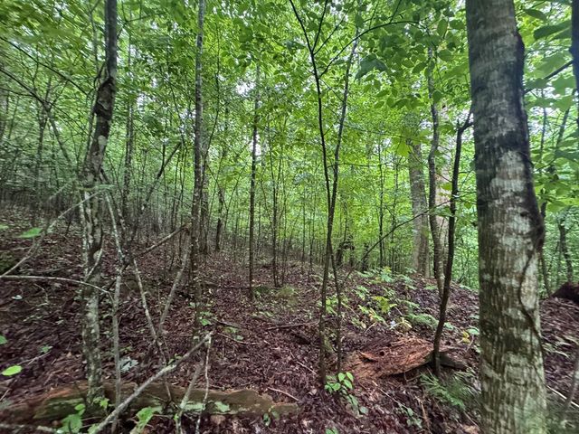 1.23 AC Bear Run Circle, Ellijay, GA 30540