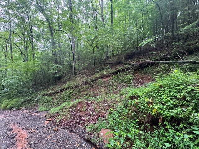 1.23 AC Bear Run Circle, Ellijay, GA 30540