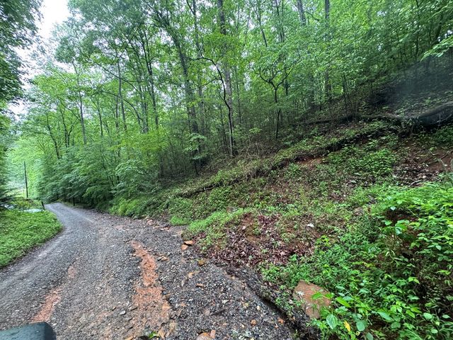 1.23 AC Bear Run Circle, Ellijay, GA 30540