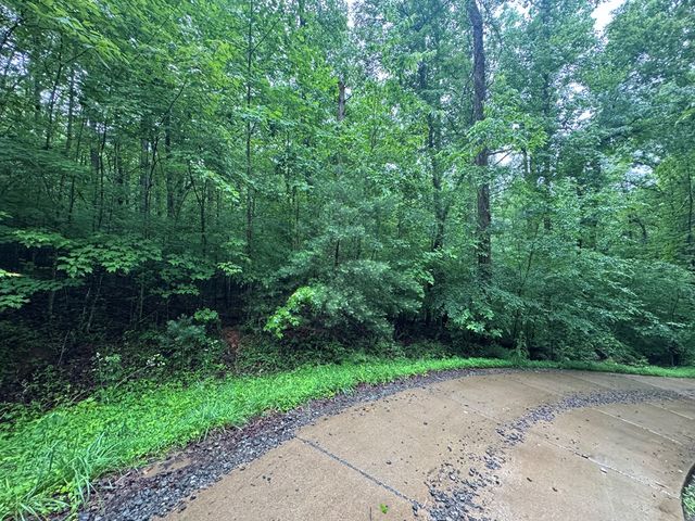1.23 AC Bear Run Circle, Ellijay, GA 30540