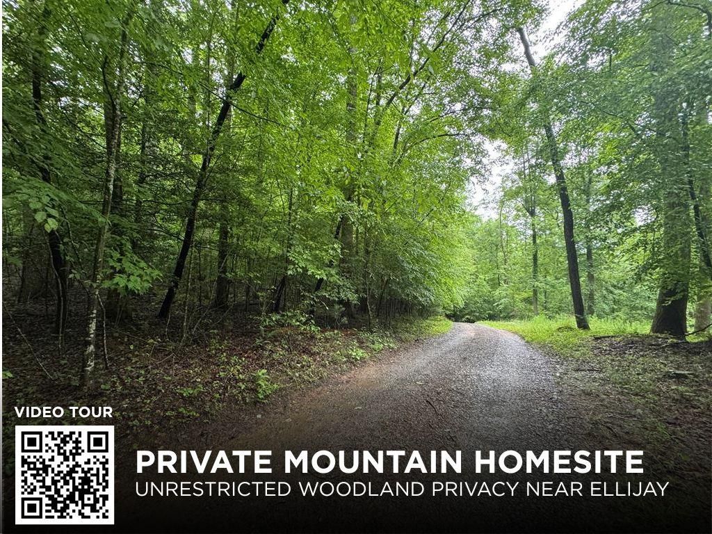 1.23 AC Bear Run Circle, Ellijay, GA 30540