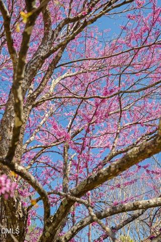 2017 Satinwood Drive, Clayton, NC 27520