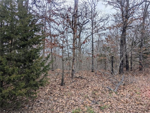 Littrell Drive, Bella Vista, AR 72714