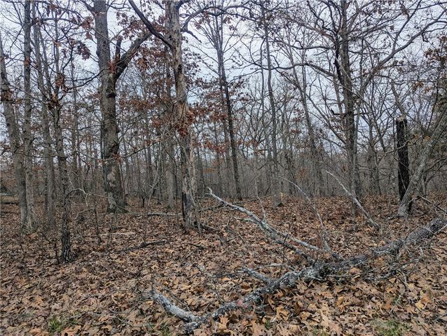 Littrell Drive, Bella Vista, AR 72714