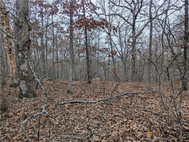 Littrell Drive, Bella Vista, AR 72714