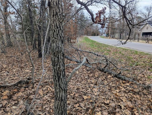 Littrell Drive, Bella Vista, AR 72714