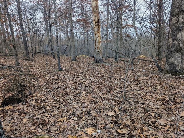 Littrell Drive, Bella Vista, AR 72714