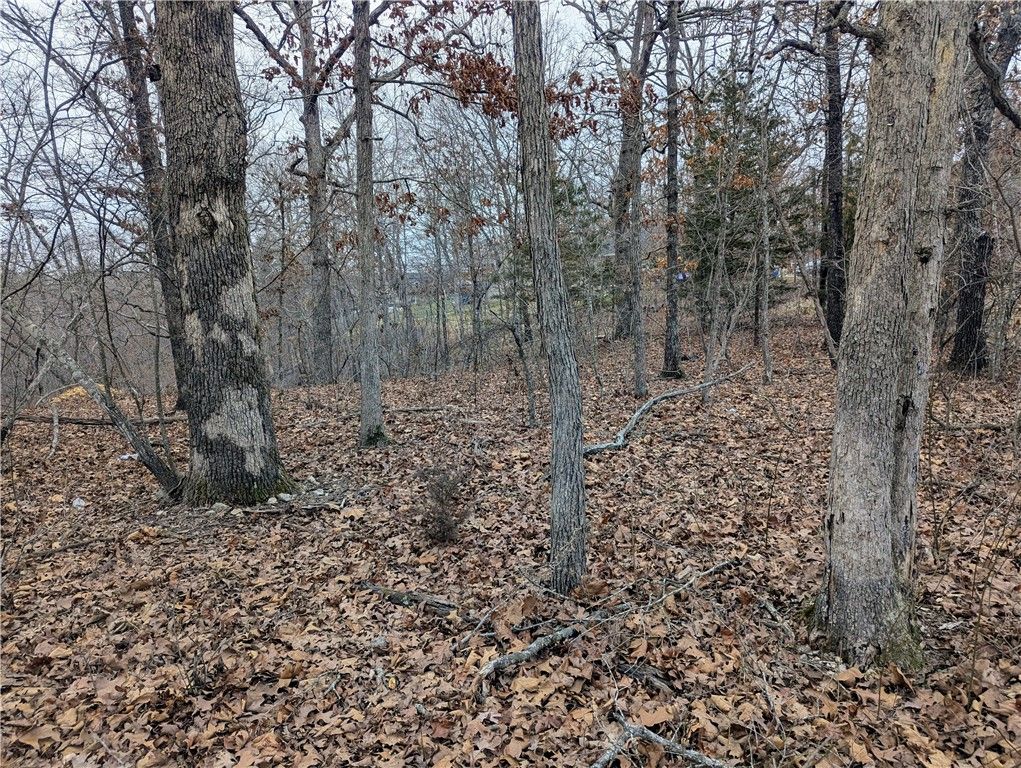 Littrell Drive, Bella Vista, AR 72714