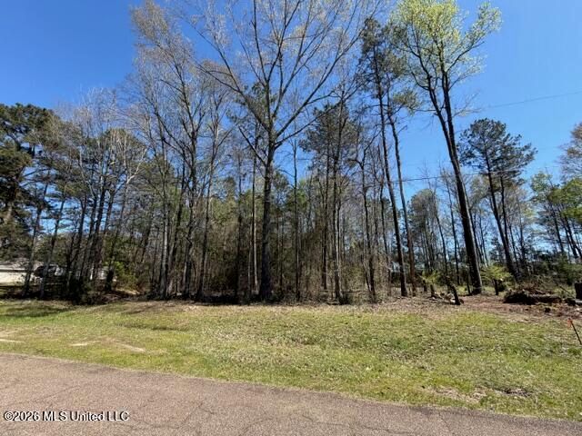 000 King Boulevard, Petal, MS 39465