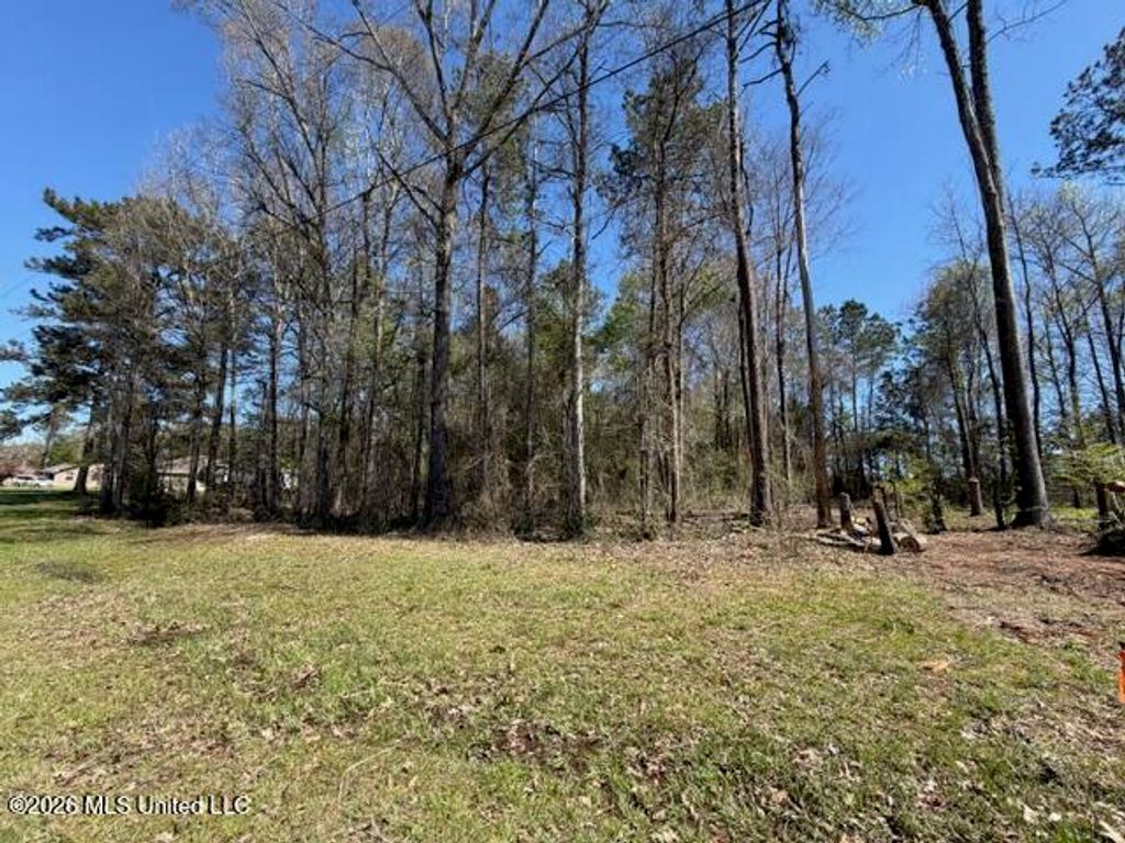 000 King Boulevard, Petal, MS 39465