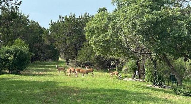 815 Riva Ridge DR, Leander, TX 78641