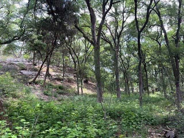 815 Riva Ridge DR, Leander, TX 78641