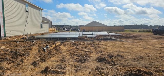 308 Tall Birch Drive, Hockley, TX 77447