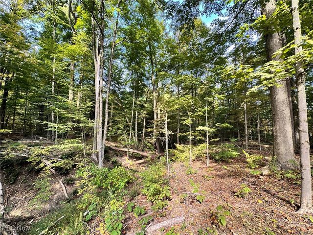 8145 Chagrin Road, Chagrin Falls, OH 44023