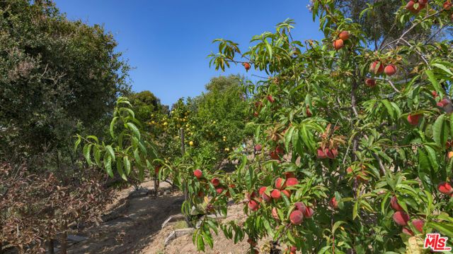 6815 Dume Drive, Malibu, CA 90265