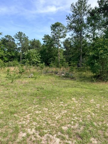 125 Jacob Mckie Road 125, Trenton, SC 29847