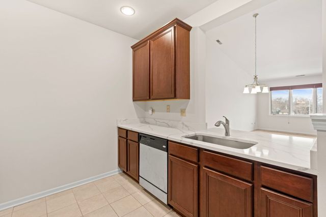 10 Ford Street 306, Geneva, IL 60134