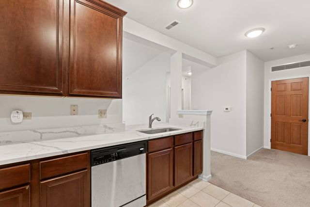 10 Ford Street 306, Geneva, IL 60134